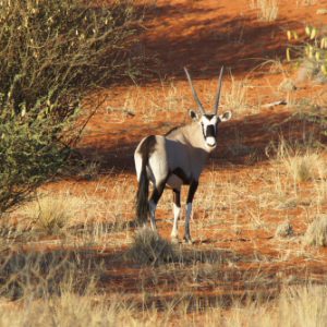 Namibia