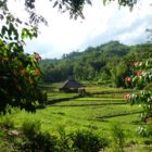 Laos, Kamu Eco Lodge, Zelt, Hotel