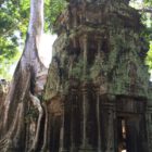 Kambodscha, Angkor Wat, Ta Prohm