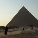Ägypten, Kairo, Gizeh, Pyramide, Kamel